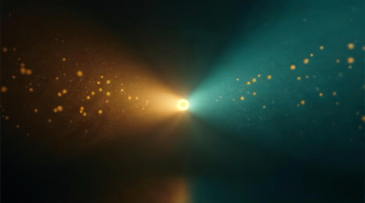 Fintechs de nicho especializacao mercado financeiro